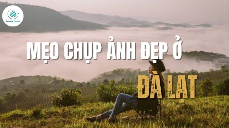 Mẹo chụp ảnh đẹp ở Đà Lạt: Tip tận dụng ánh sáng và góc chụp