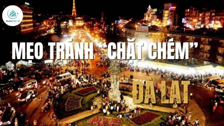 Mẹo tránh “chặt chém” ở Đà Lạt để chuyến đi không bị “hớ”