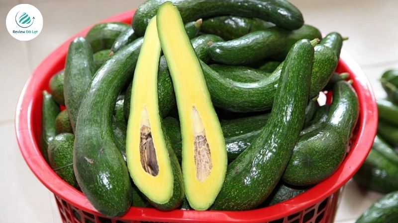 Đặc điểm của bơ sáp Đà Lạt