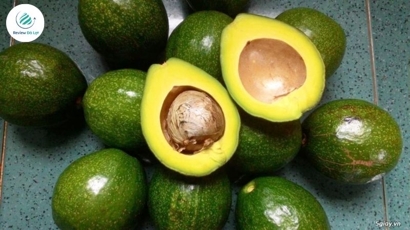Lợi ích tuyệt vời của các món ăn từ bơ sáp Đà Lạt