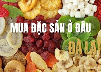 Mua đặc sản Đà Lạt ở đâu? Những địa chỉ uy tín, chất lượng 2025
