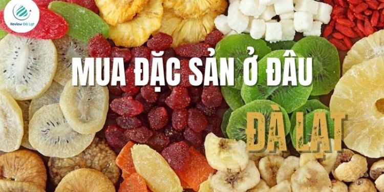 Mua đặc sản Đà Lạt ở đâu? Những địa chỉ uy tín, chất lượng 2025