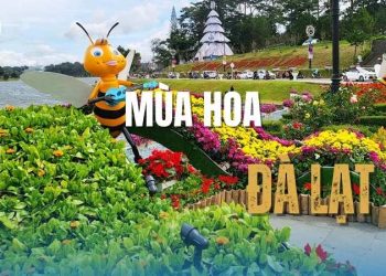 Mùa hoa Đà Lạt, nơi sắc màu thiên nhiên tạo nên những khoảnh khắc khó quên