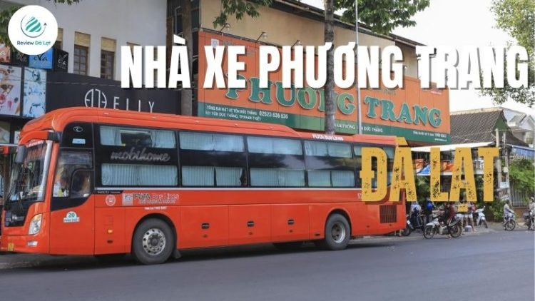 Nhà xe Phương Trang đi Đà Lạt: Lịch trình, giá vé, kinh nghiệm