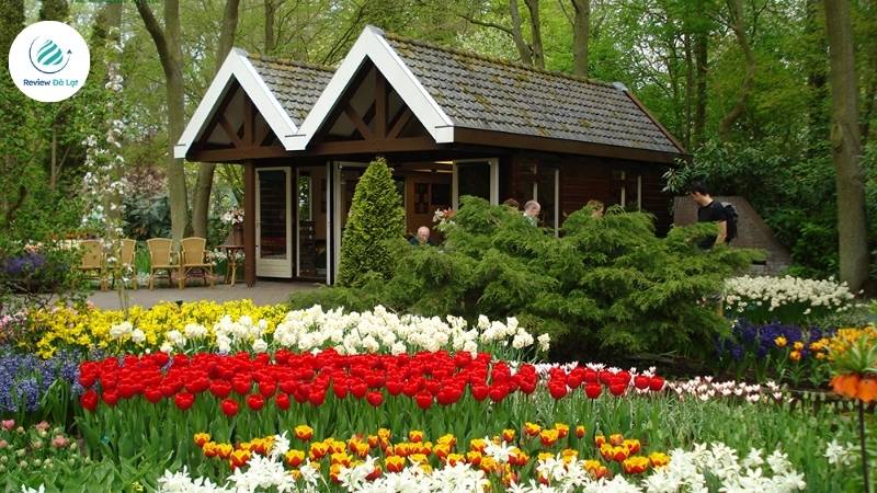 Những điều cần lưu ý khi tham quan Đồi Mộng Mơ Đà Lạt