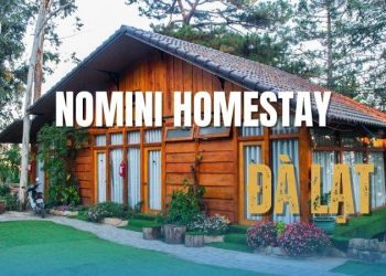 Review Nomini Homestay Đà Lạt - Ngôi nhà gỗ giữa rừng thông