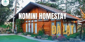 Review Nomini Homestay Đà Lạt - Ngôi nhà gỗ giữa rừng thông