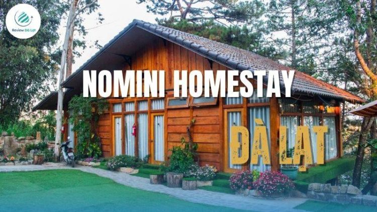Review Nomini Homestay Đà Lạt - Ngôi nhà gỗ giữa rừng thông