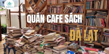Top 6 Quán Cafe Sách Đà Lạt Được Yêu Thích Nhất