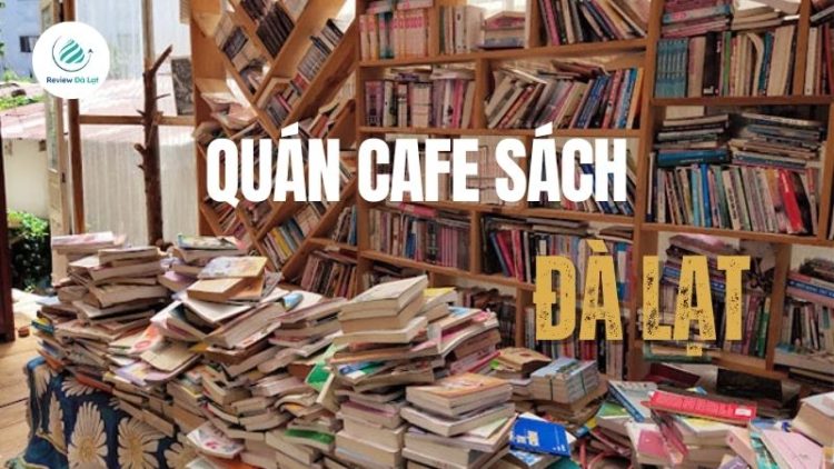 Top 6 Quán Cafe Sách Đà Lạt Được Yêu Thích Nhất