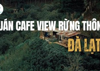 Top 6 quán cafe view rừng thông Đà Lạt săn mây, sống ảo giữa thiên nhiên