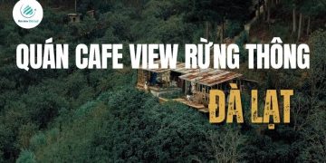 Top 6 quán cafe view rừng thông Đà Lạt săn mây, sống ảo giữa thiên nhiên