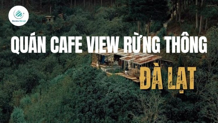 Top 6 quán cafe view rừng thông Đà Lạt săn mây, sống ảo giữa thiên nhiên