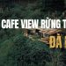 Top 6 quán cafe view rừng thông Đà Lạt săn mây, sống ảo giữa thiên nhiên