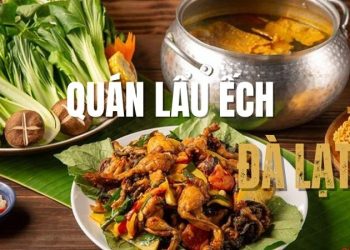 Top 4+ quán lẩu ếch Đà Lạt thơm ngon ấm lòng ngày lạnh
