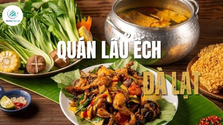 Top 4+ quán lẩu ếch Đà Lạt thơm ngon ấm lòng ngày lạnh