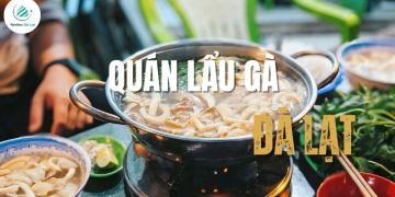 Top 5+ quán lẩu gà Đà Lạt ngon trứ danh ấm lòng ngày se lạnh