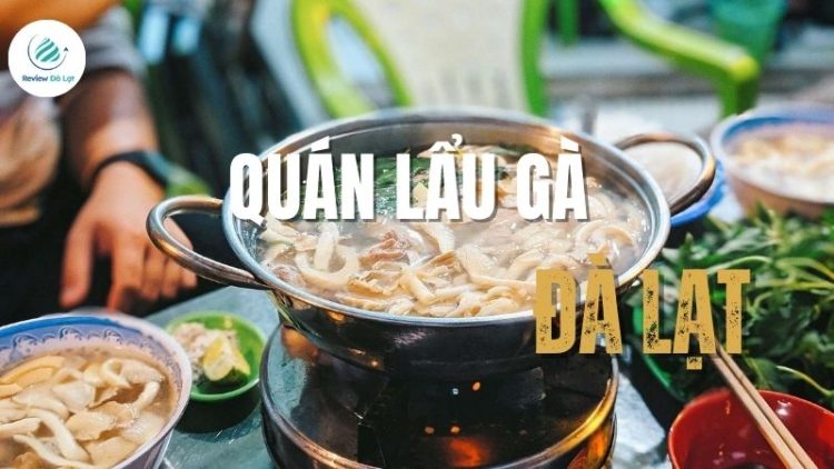 Top 5+ quán lẩu gà Đà Lạt ngon trứ danh ấm lòng ngày se lạnh