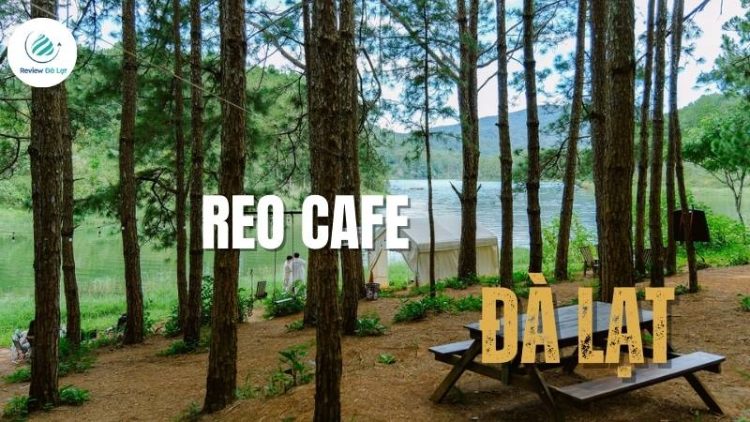 Reo cafe: khám phá thiên đường thư giãn yên bình tại Đà Lạt