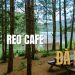 Reo cafe: khám phá thiên đường thư giãn yên bình tại Đà Lạt