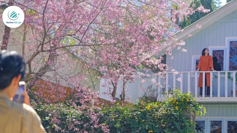 Tận hưởng không gian ngập tràn sắc hoa đặc trưng của Đà Lạt
