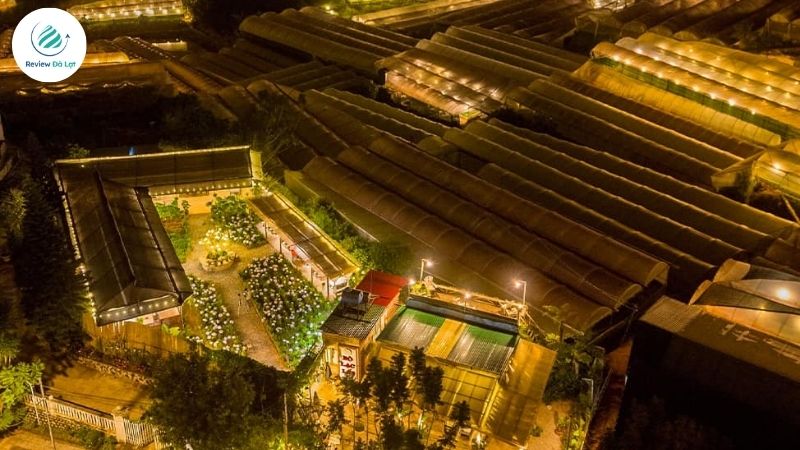 Hoàng hôn rực rỡ trên thung lũng đèn lung linh tại Xóm Lèo Đà Lạt