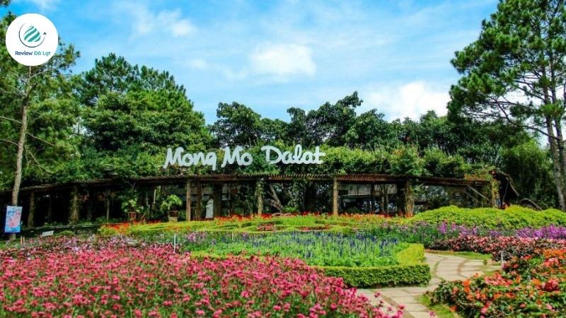 Thông tin tổng quan về Đồi Mộng Mơ Đà Lạt
