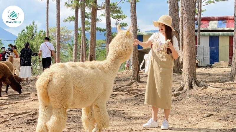 Tận tay đút ăn cho thú siêu đáng yêu