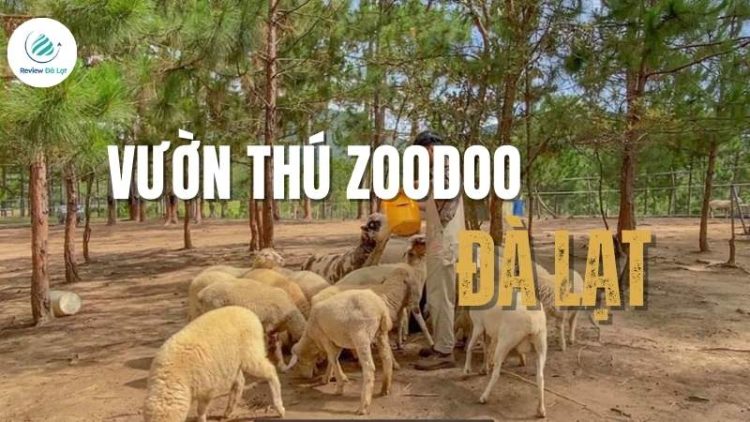 Vườn thú Zoodoo – Điểm check-in hấp dẫn không thể bỏ lỡ