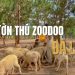 Vườn thú Zoodoo – Điểm check-in hấp dẫn không thể bỏ lỡ