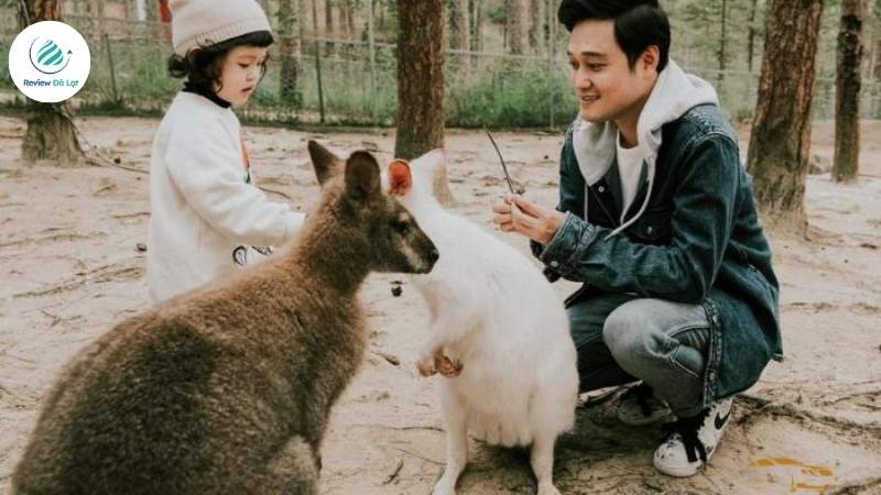 Ca sĩ Quang Vinh tham quan vườn thú Zoodoo