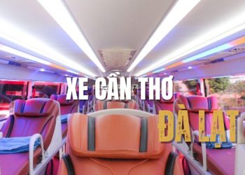 Top 10 nhà xe Cần Thơ đi Đà Lạt uy tín, giá mới nhất 2025
