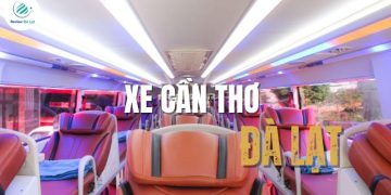 Top 10 nhà xe Cần Thơ đi Đà Lạt uy tín, giá mới nhất 2025