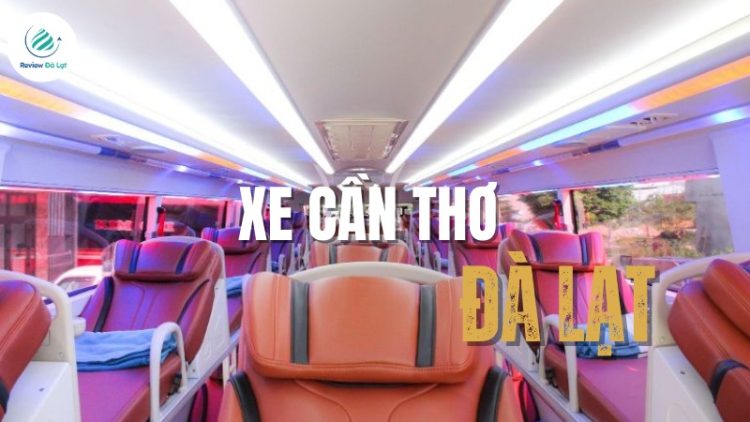 Top 10 nhà xe Cần Thơ đi Đà Lạt uy tín, giá mới nhất 2025