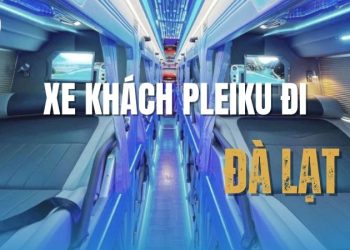 Hành trình dài trở nên dễ dàng hơn bao giờ hết với xe khách Pleiku đi Đà Lạt