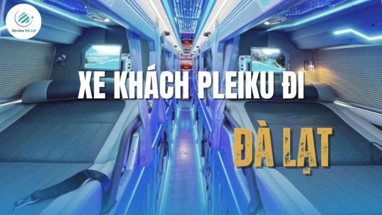 Hành trình dài trở nên dễ dàng hơn bao giờ hết với xe khách Pleiku đi Đà Lạt