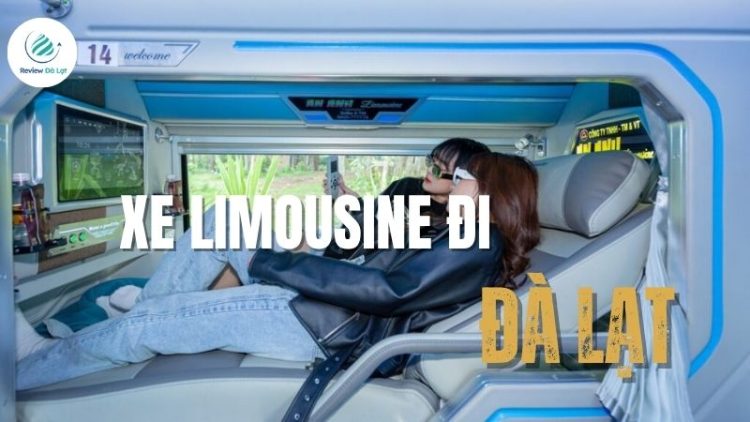 Review 10 xe limousine đi Đà Lạt uy tín, tiện nghi sang trọng