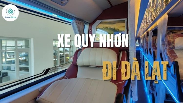 Xe Quy Nhơn đi Bình Định