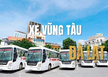  Top 10 nhà xe Vũng Tàu đi Đà Lạt chất lượng, đặt vé dễ dàng